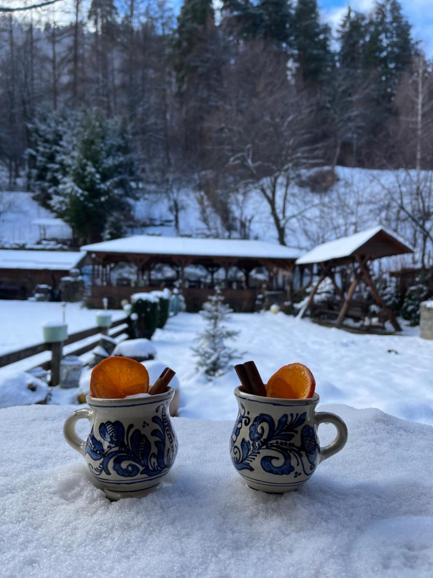 Pensiunea Domnescu Sălişte Exteriér fotografie