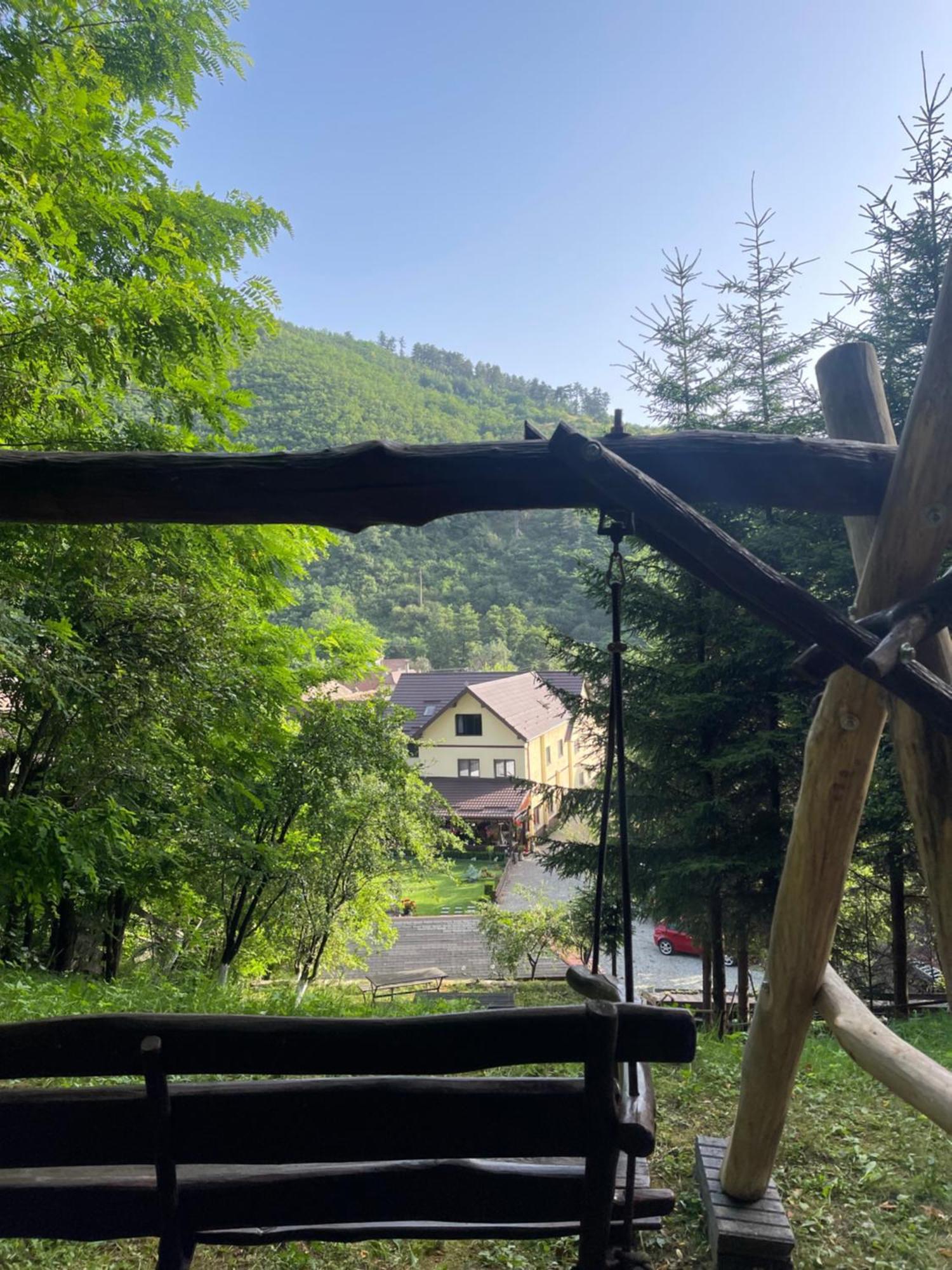 Pensiunea Domnescu Sălişte Exteriér fotografie