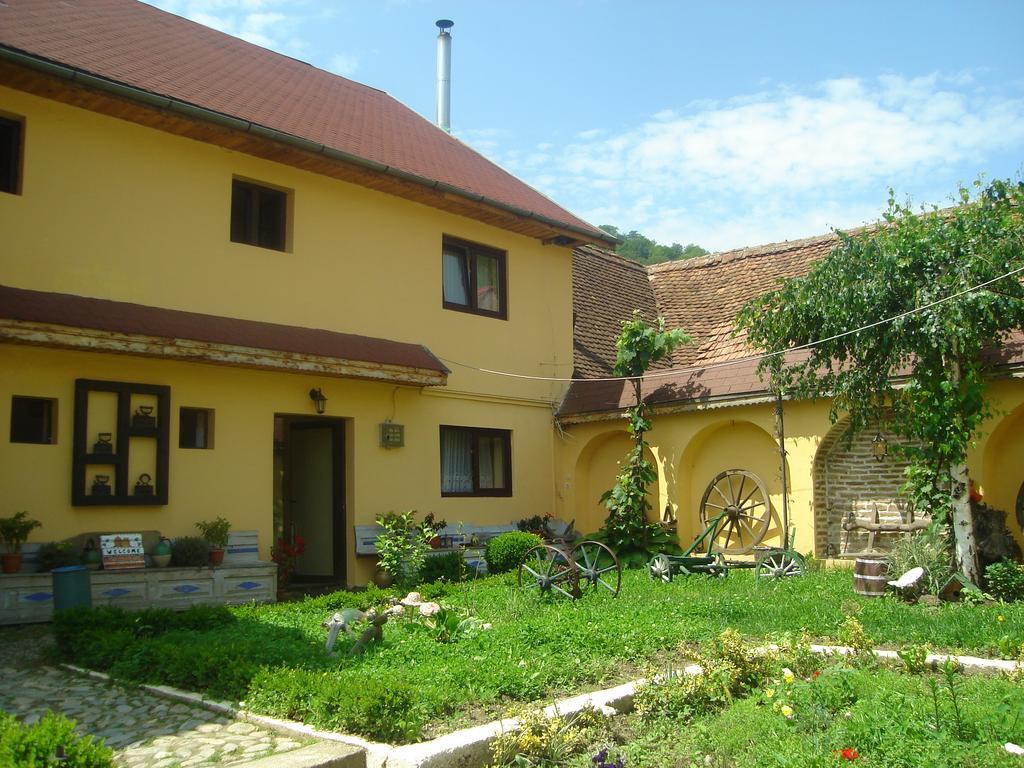 Pensiunea Domnescu Sălişte Exteriér fotografie