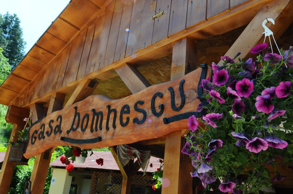 Pensiunea Domnescu Sălişte Exteriér fotografie