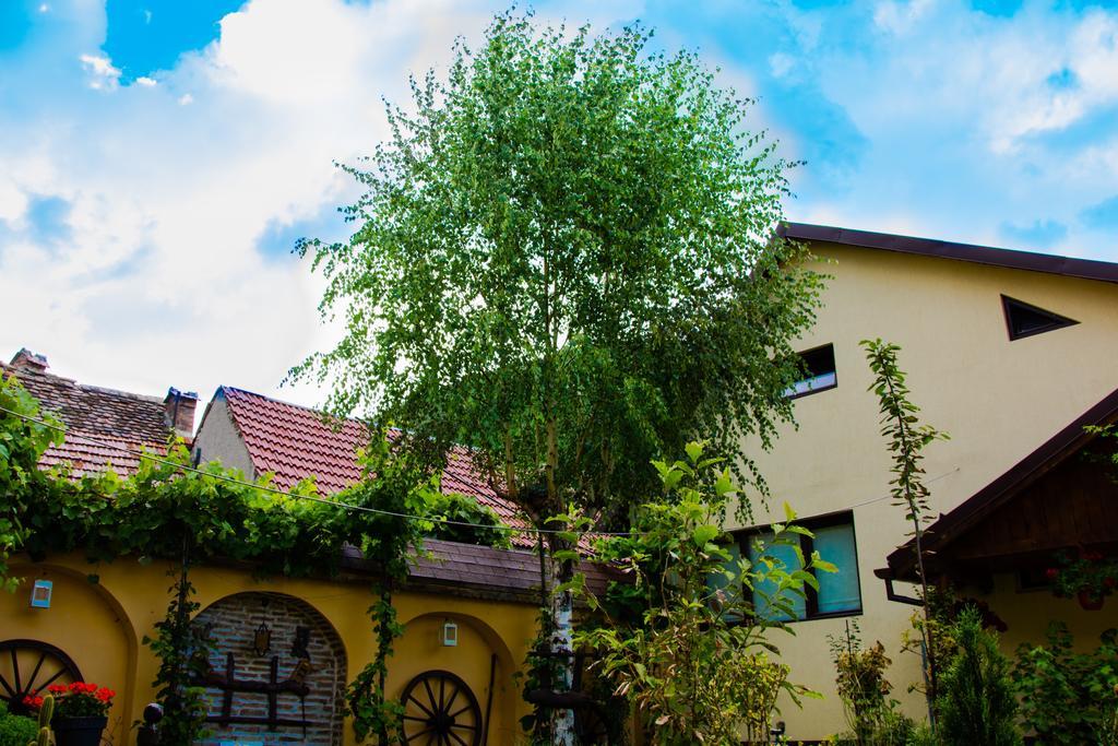 Pensiunea Domnescu Sălişte Exteriér fotografie
