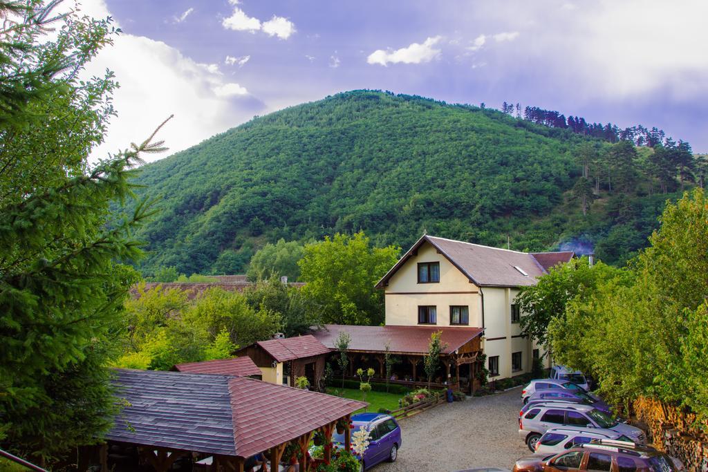 Pensiunea Domnescu Sălişte Exteriér fotografie
