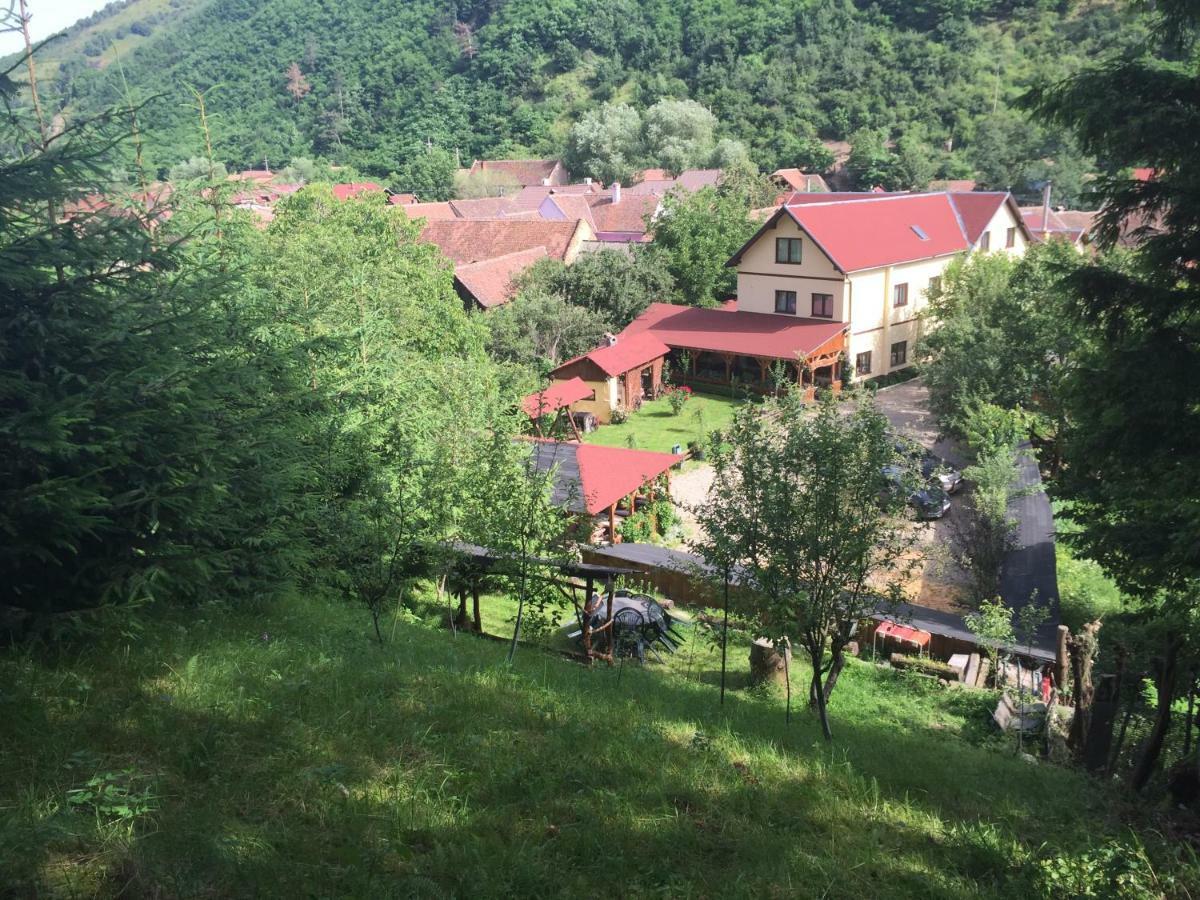 Pensiunea Domnescu Sălişte Exteriér fotografie