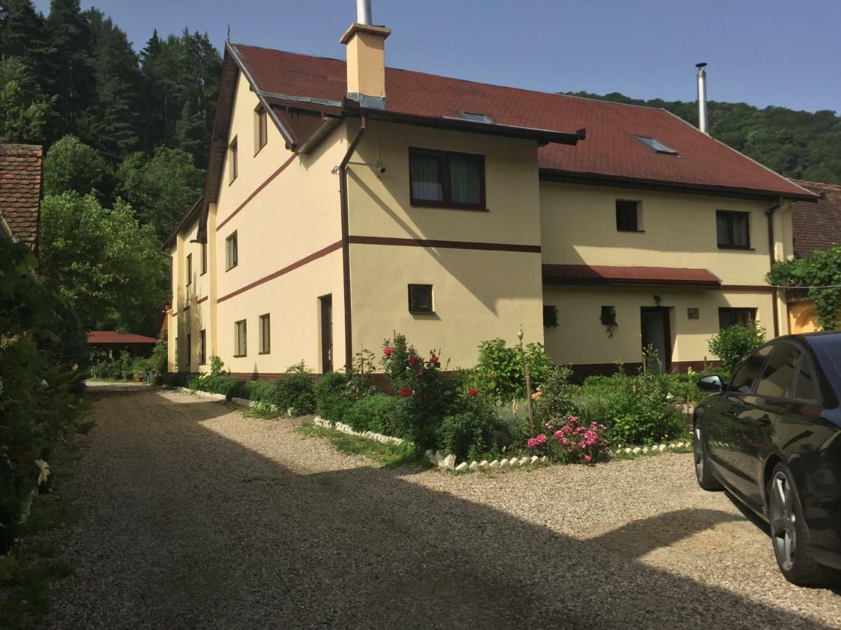 Pensiunea Domnescu Sălişte Exteriér fotografie