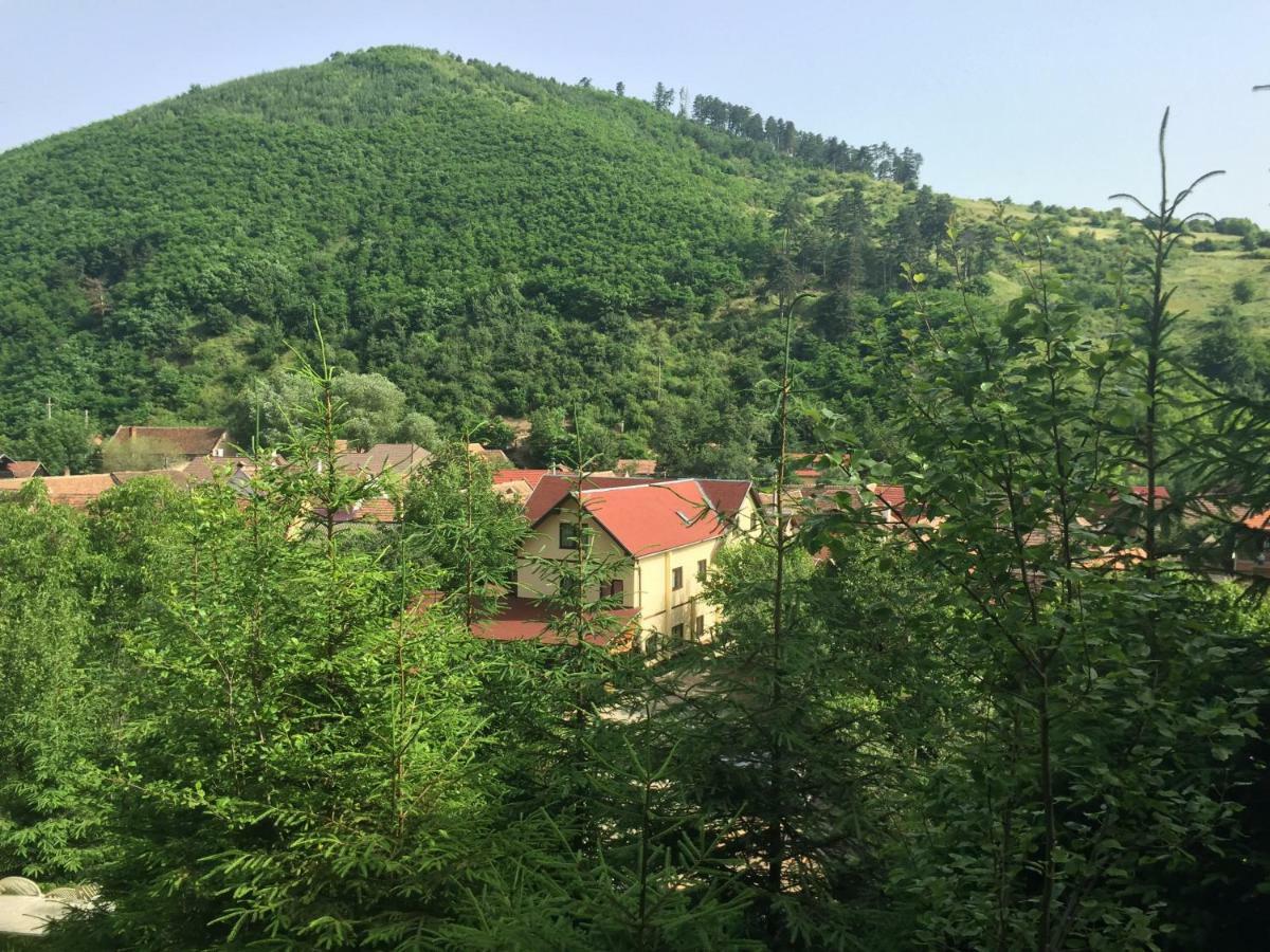 Pensiunea Domnescu Sălişte Exteriér fotografie