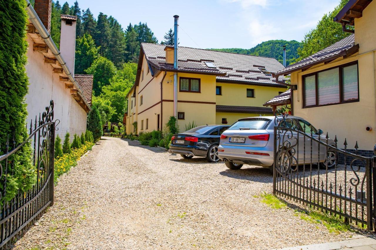 Pensiunea Domnescu Sălişte Exteriér fotografie